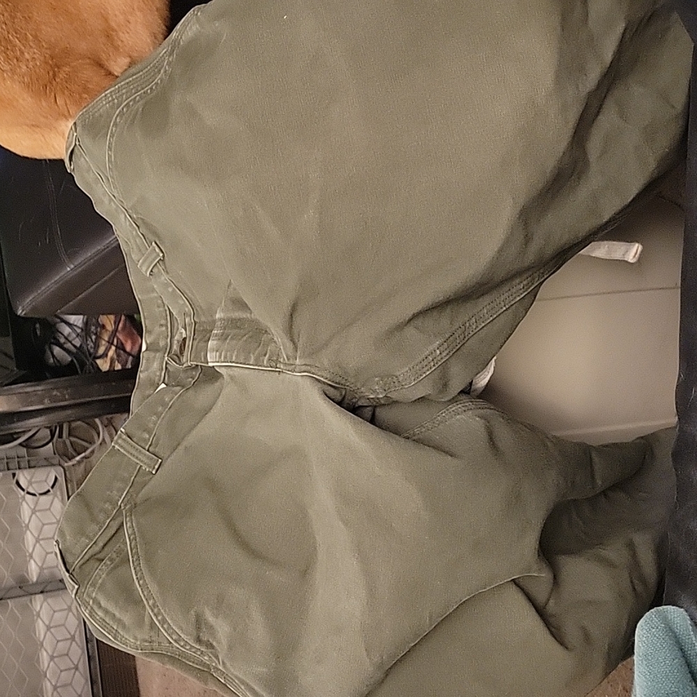 Carhartt 14806 pants